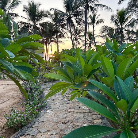 트리반드룸 Santa Maria, Trivandrum - An Airport Boutique By The Sea B&B 외부 사진