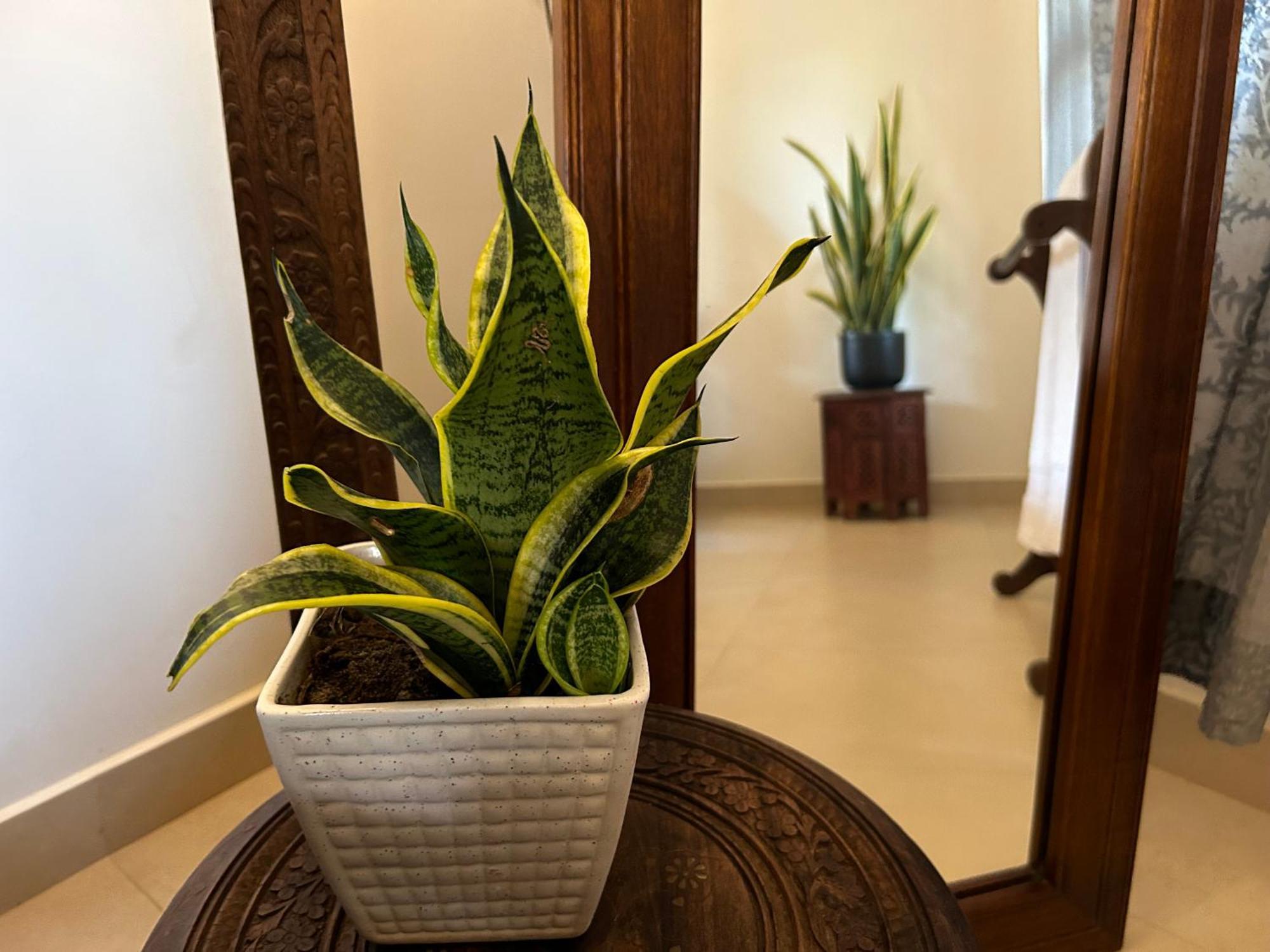 트리반드룸 Santa Maria, Trivandrum - An Airport Boutique By The Sea B&B 외부 사진