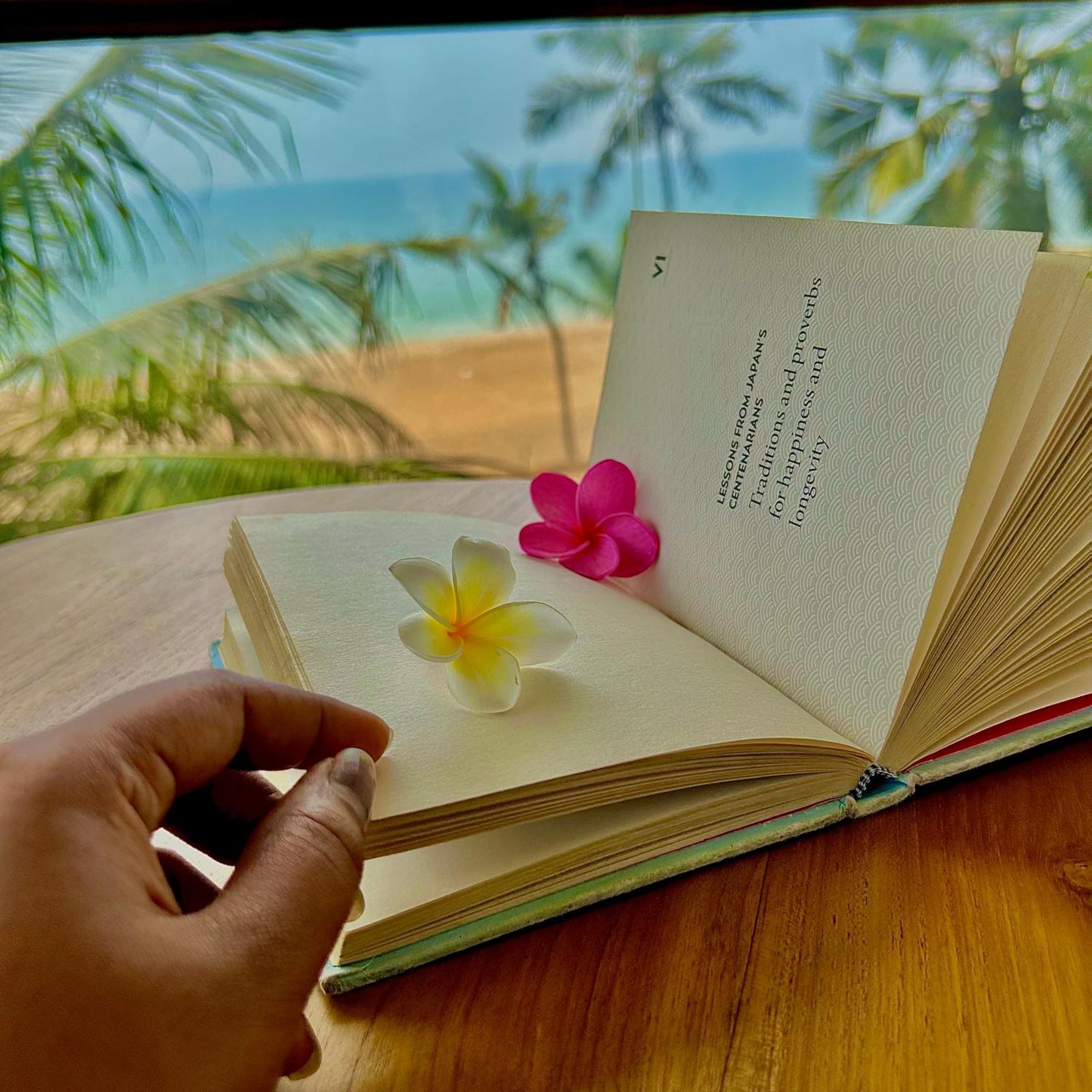 트리반드룸 Santa Maria, Trivandrum - An Airport Boutique By The Sea B&B 외부 사진