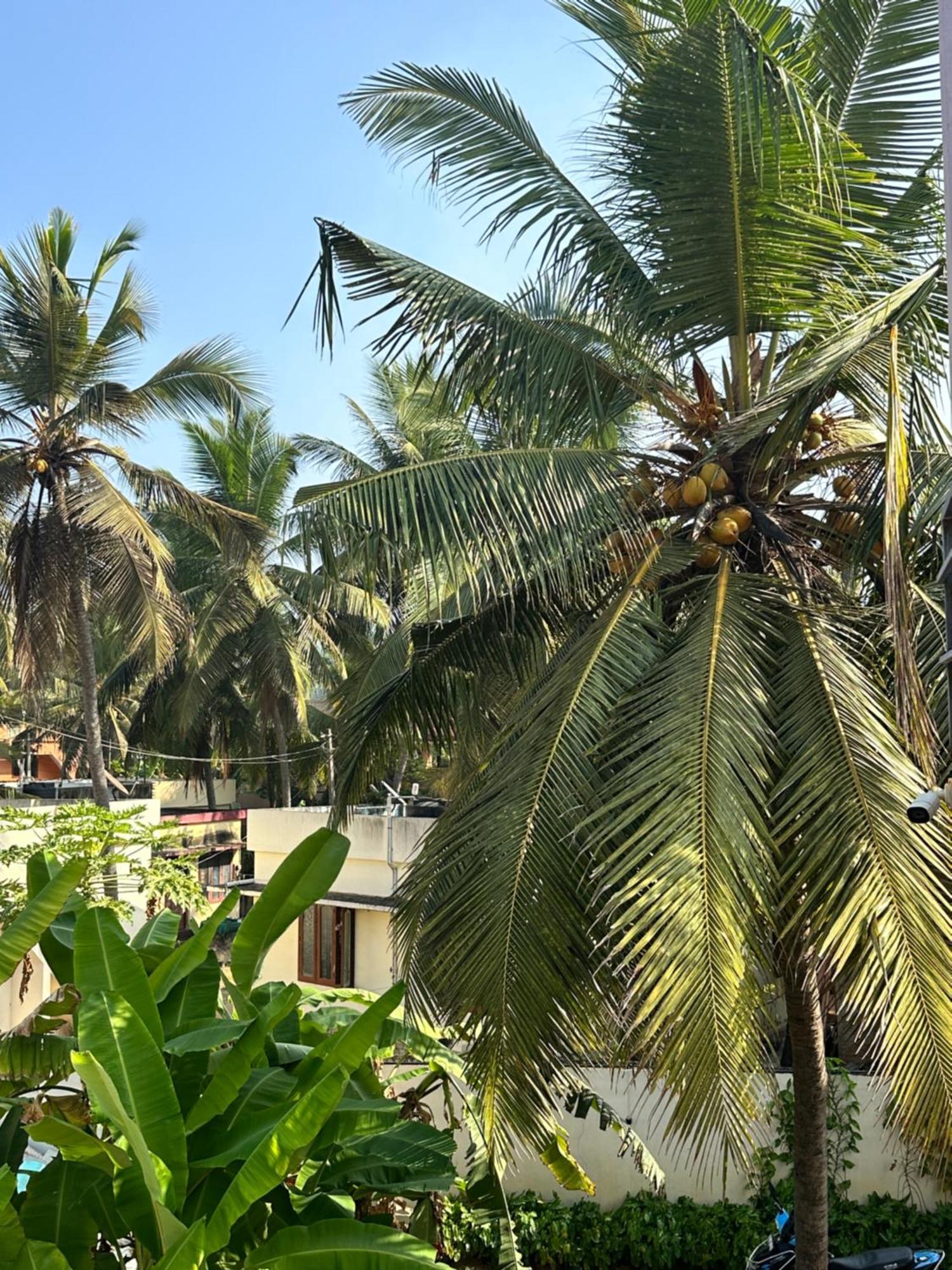 트리반드룸 Santa Maria, Trivandrum - An Airport Boutique By The Sea B&B 외부 사진