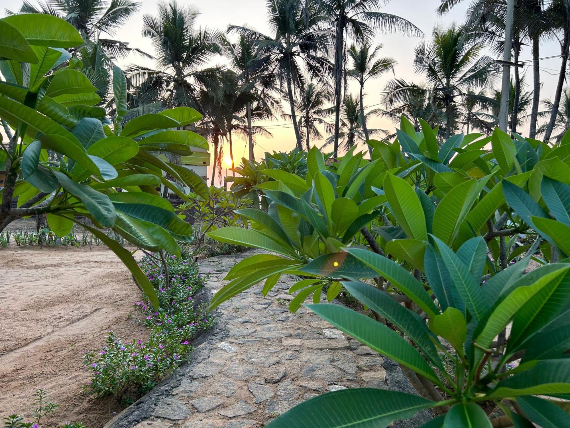 트리반드룸 Santa Maria, Trivandrum - An Airport Boutique By The Sea B&B 외부 사진