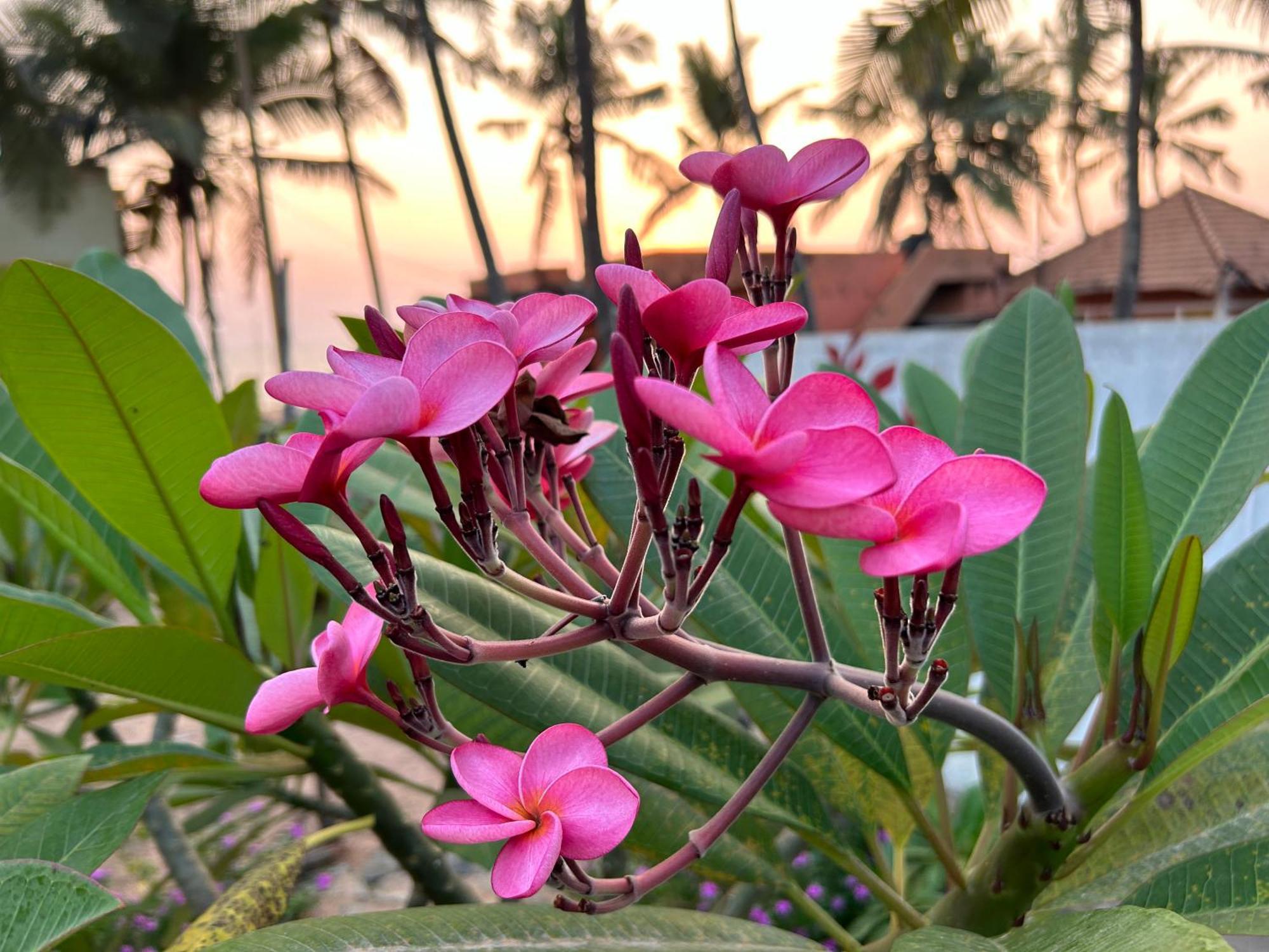 트리반드룸 Santa Maria, Trivandrum - An Airport Boutique By The Sea B&B 외부 사진